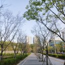 제1공단근린공원공영주차장 | 단대오거리 성남 제1공단 근린공원 겹벚꽃과 희망대공원 철쭉꽃