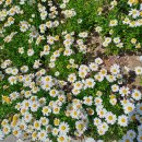 왕성공인중개사사무소 이미지