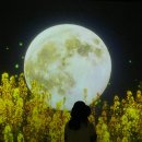 노랑오리농업회사법인(주) 이미지
