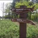 해당화민박 이미지