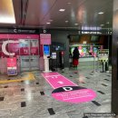 피피도그 | 하카타에서 신칸센 타고 모지코 가는 방법 알려드릴게요.