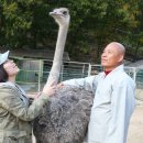 흥미로운여행