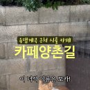 양촌길 이미지
