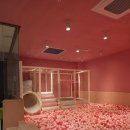 나는조선의떡볶이다 | 대구 북구 대형 놀이방식당 조선숯불 고기집 내돈내산 후기