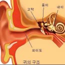 겨울철 미백 피부관리 ... 이미지