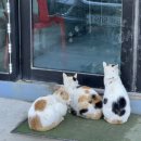 왕산옹기종기