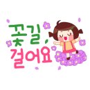 햇살다육꽃사랑 이미지