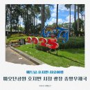 시청앞 미관광장 | 호치민 자유여행 따오단공원 호치민 시청 광장 중앙우체국