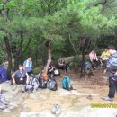 산해관 - 달서구 용산큰못2길 16 | 산해관