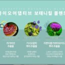 써니스킨케어 이미지