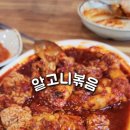 고니김 이미지