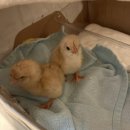 홍제역2번출구 이미지