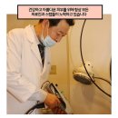 월배과일