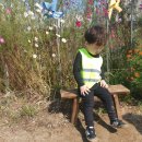 소풍농장 이미지