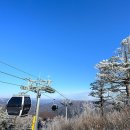 설경산수화 | [여행] 케이블카 타고 만나는 상상 초월 설경! 12월 정선 가리왕산 겨울 여행
