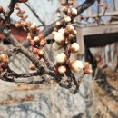 경산행운공인중개사사무소 이미지