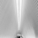 메타라이프 이미지