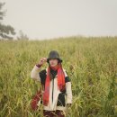 윈윈세무회계 이미지