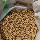 2분 만요~ )) 노란콩과 팥~ 이미지