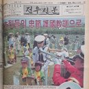 1982 육