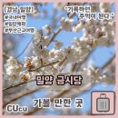밀양시국궁장 | [경남 밀양] 밀양 매화나무가 예쁜 금시당(2025 매화 개화 상황, 주차정보, 꿀팁) | 가볼 만한 곳 |
