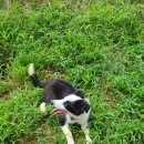 원반농장 이미지