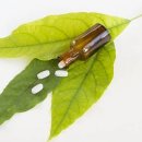 세종성모소아청소년과의원 이미지