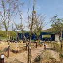 양지단비사슴농장 이미지