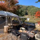 성주자연오토캠핑장 이미지