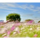 바람불어좋은날 이미지