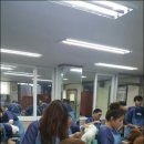 킴스애견미용 이미지