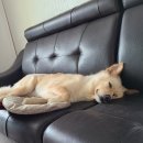 여울소리 오토캠핑장 이미지