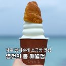 염전의봄애월점 | 제주 빵지순례 소금빵 맛집 염전의 봄 애월점