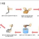 금속활자인쇄