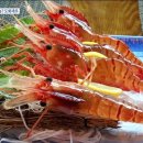 에이스 휘트니스 이미지