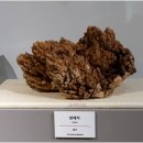 세계화석광물박물관 | 세계화석광물박물관