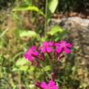 송촌2리 마을회관 이미지