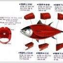 ＊바다의 귀족 참치 - 2 - 이미지