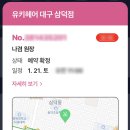 유키니언4호대구 네이버블로그