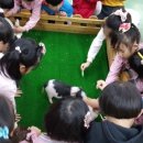 서해유치원 이미지