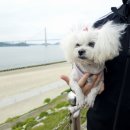 주노무인호텔 이미지