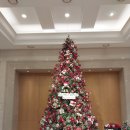 코끼리당구장 | 소노벨 변산 리조트 오션플레이 가성비 좋은 워터파크