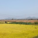 김포한강 3로 이미지