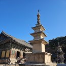 강월초등학교 앞(정문 좌측) | 겨울 경주여행 필수코스 불국사 사찰 다보탑 석가탑 입장료 및 주차장