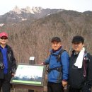 최용순농장 Daum카페