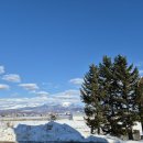 정곤네 | 후라노 비에이 투어 택시투어보다 더 프라이빗한 단독투어 정보