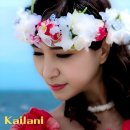 훌라댄스 이미지