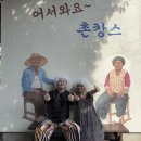 아이리스촌캉스 이미지