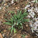 테마민박가든 이미지