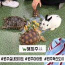 문*주 | [원주 혁신도시] 실내 동물원 &#34;해피주&#34; 방문 체험 후기